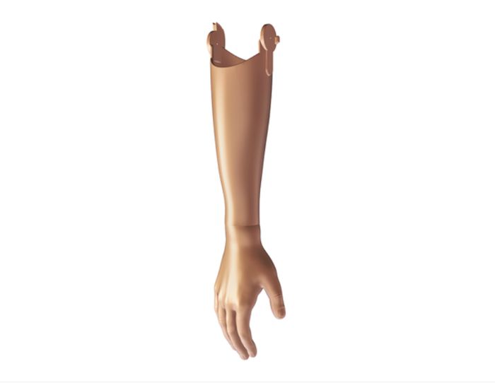 Aesthetic Passive Hand