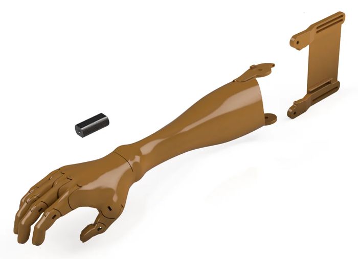 Gripper-Kwawu (long forearm)